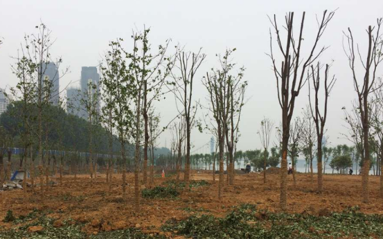 yp街机·电子游戏(中国)官方网站